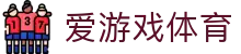 AYX爱游戏APP体育平台入口 - 官方应用服务